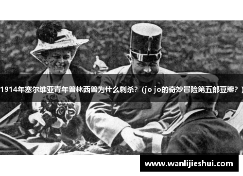 1914年塞尔维亚青年普林西普为什么刺杀？(jo jo的奇妙冒险第五部豆瓣？)