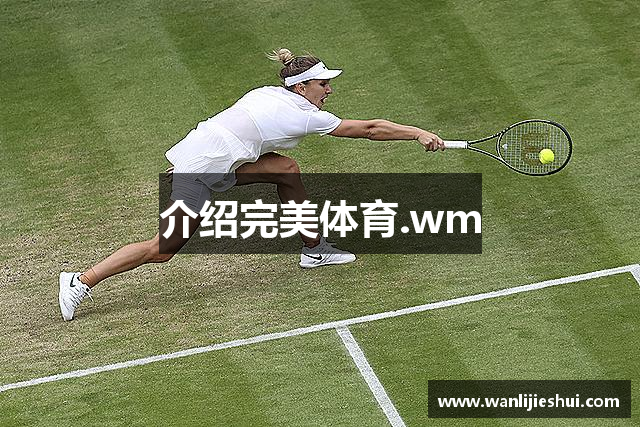 介绍完美体育.wm